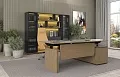 Кабинет руководителя Ион