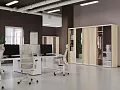 Шкафы-Купе Марис Акация